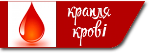 Фінансовий звіт за 2022 рік